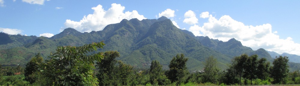 Potholes and Pili Pili